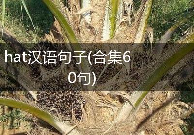 hat汉语句子(合集60句)