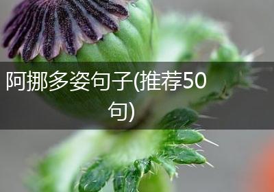 阿挪多姿句子(推荐50句)