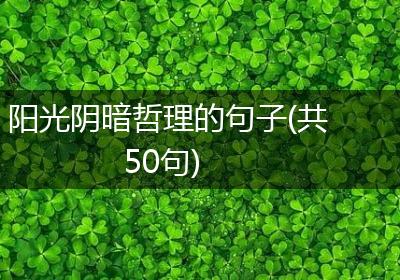 阳光阴暗哲理的句子(共50句)