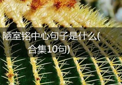 陋室铭中心句子是什么(合集10句)