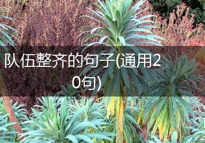 队伍整齐的句子(通用20句)