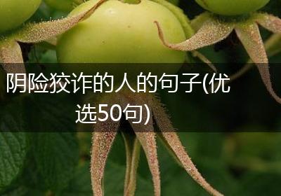 阴险狡诈的人的句子(优选50句)
