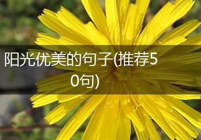阳光优美的句子(推荐50句)