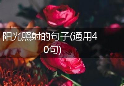 阳光照射的句子(通用40句)