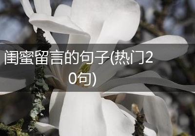 闺蜜留言的句子(热门20句)