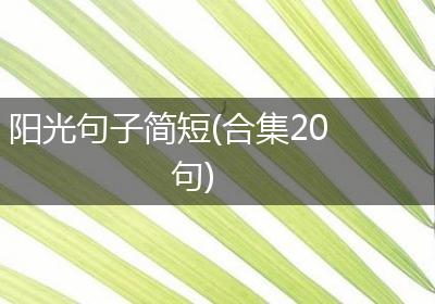 阳光句子简短(合集20句)