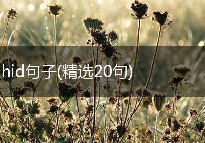 hid句子(精选20句)
