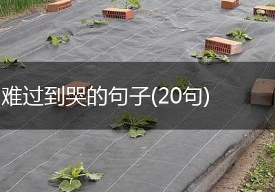 难过到哭的句子(20句)