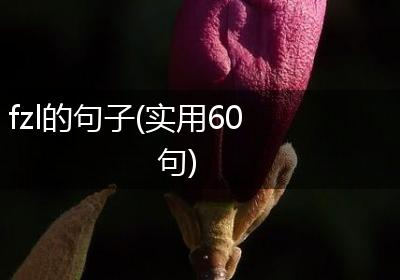 fzl的句子(实用60句)