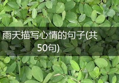 雨天描写心情的句子(共50句)