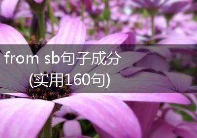 from sb句子成分(实用160句)