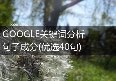 GOOGLE关键词分析句子成分(优选40句)