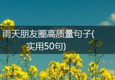 雨天朋友圈高质量句子(实用50句)