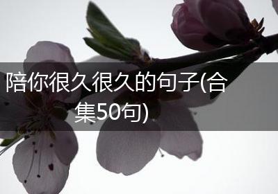 陪你很久很久的句子(合集50句)