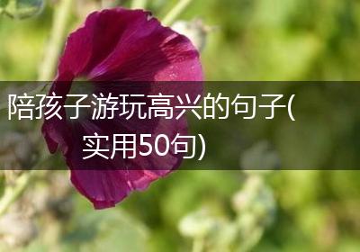陪孩子游玩高兴的句子(实用50句)