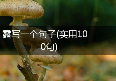 露写一个句子(实用100句)