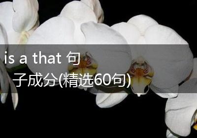 is a that 句子成分(精选60句)