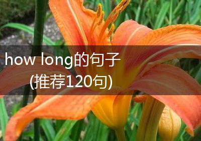 how long的句子(推荐120句)