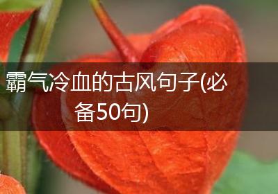 霸气冷血的古风句子(必备50句)