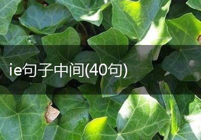 ie句子中间(40句)
