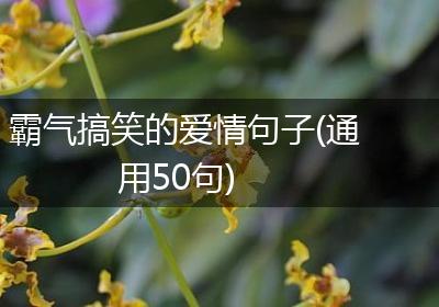 霸气搞笑的爱情句子(通用50句)