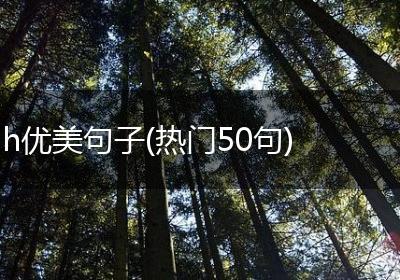 h优美句子(热门50句)