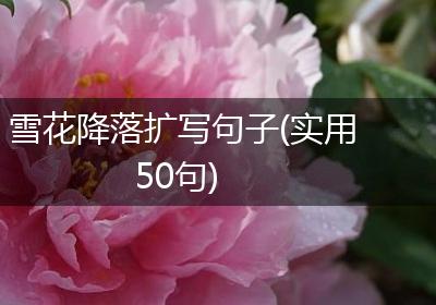 雪花降落扩写句子(实用50句)