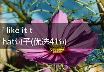 i like it that句子(优选41句)