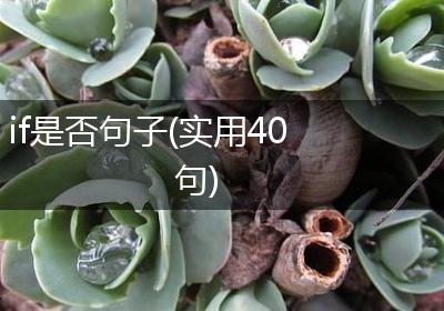 if是否句子(实用40句)