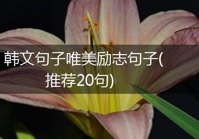 韩文句子唯美励志句子(推荐20句)