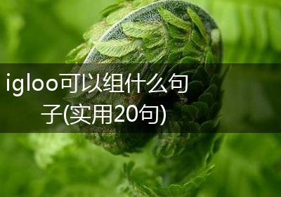 igloo可以组什么句子(实用20句)