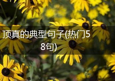 顶真的典型句子(热门58句)