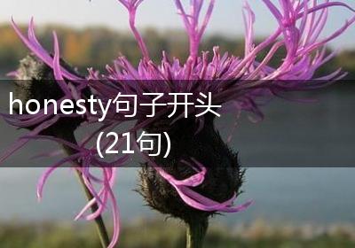 honesty句子开头(21句)