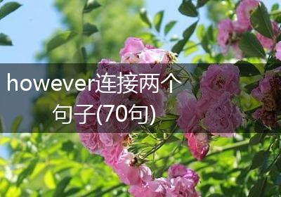 however连接两个句子(70句)