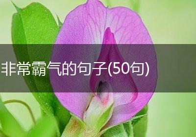 非常霸气的句子(50句)