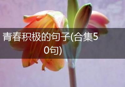 青春积极的句子(合集50句)