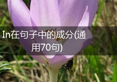 In在句子中的成分(通用70句)