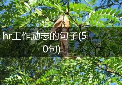 hr工作励志的句子(50句)