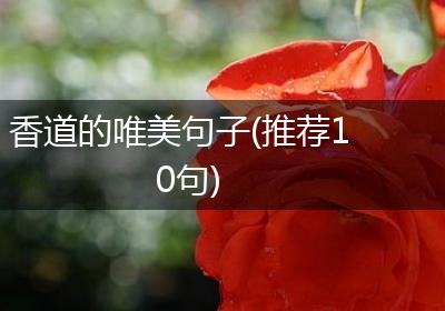 香道的唯美句子(推荐10句)