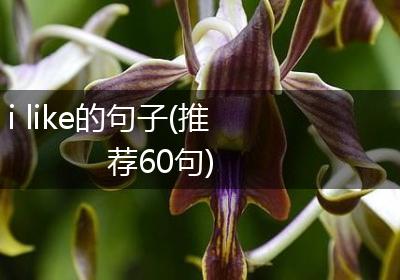 i like的句子(推荐60句)