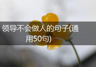 领导不会做人的句子(通用50句)