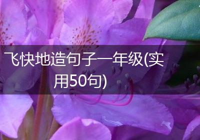 飞快地造句子一年级(实用50句)