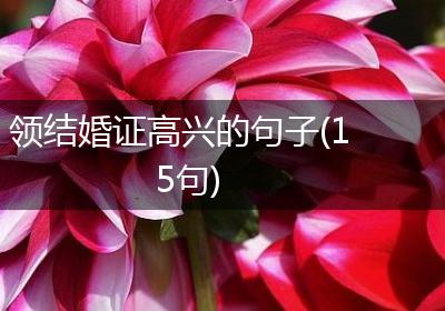 领结婚证高兴的句子(15句)