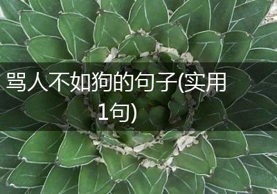 骂人不如狗的句子(实用1句)