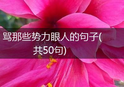 骂那些势力眼人的句子(共50句)