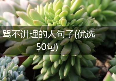 骂不讲理的人句子(优选50句)
