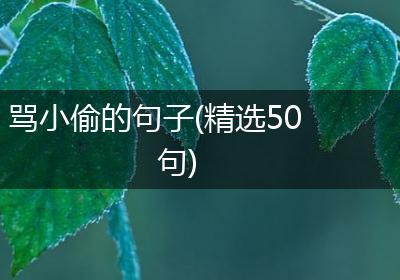 骂小偷的句子(精选50句)