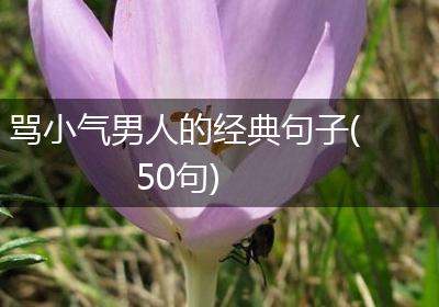 骂小气男人的经典句子(50句)