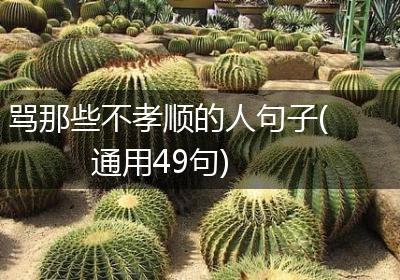 骂那些不孝顺的人句子(通用49句)