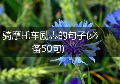 骑摩托车励志的句子(必备50句)